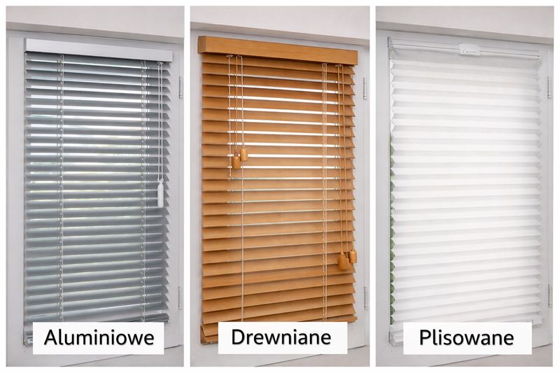 rodzaje żaluzji